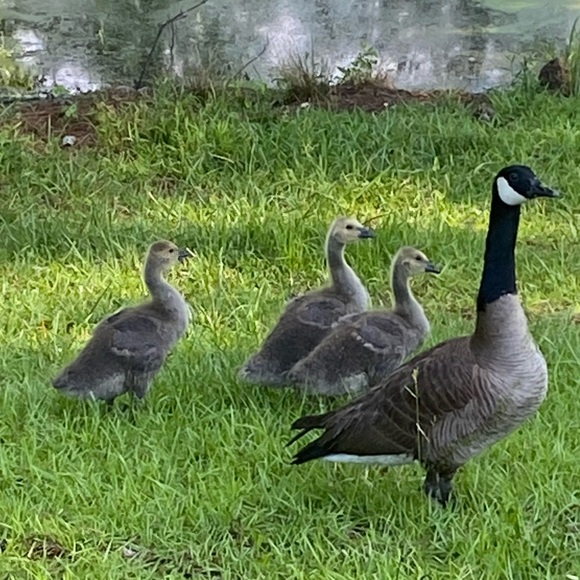 FOLLOW THE JONESES TO 400K! - Picture 15 of 16